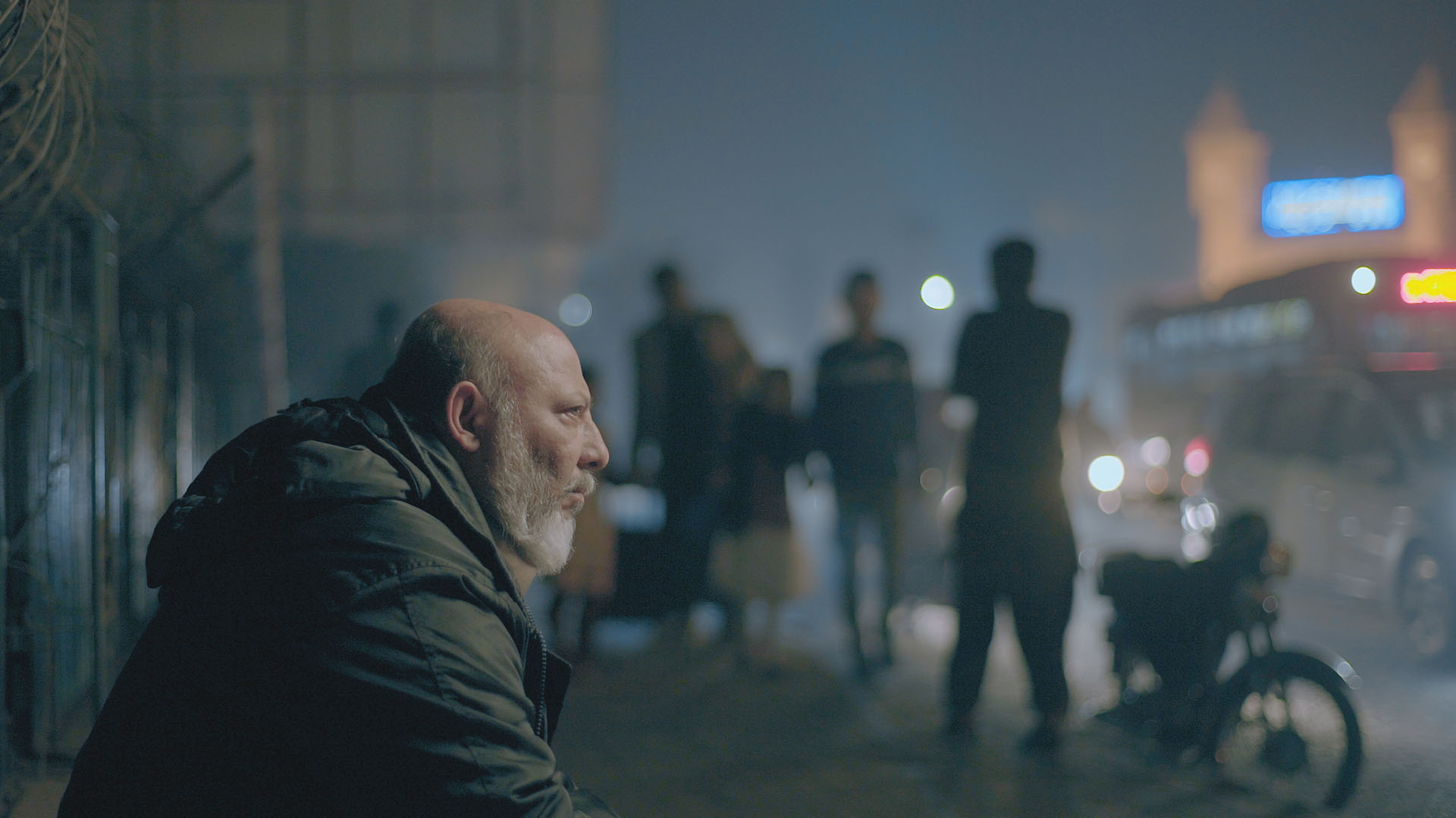 Hayat Gösterisi  görsel 2